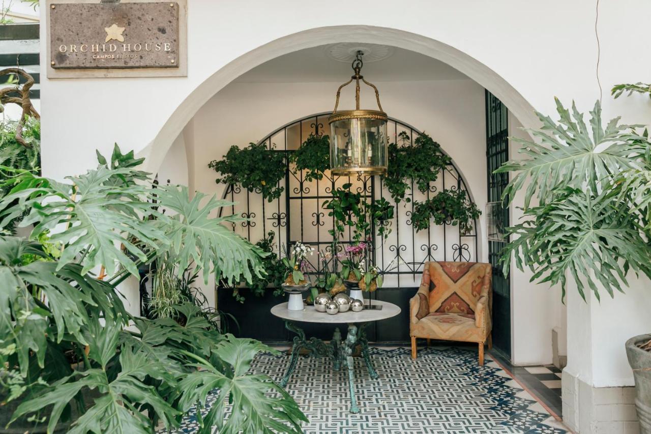 Отель Orchid House Polanco Мехико Экстерьер фото