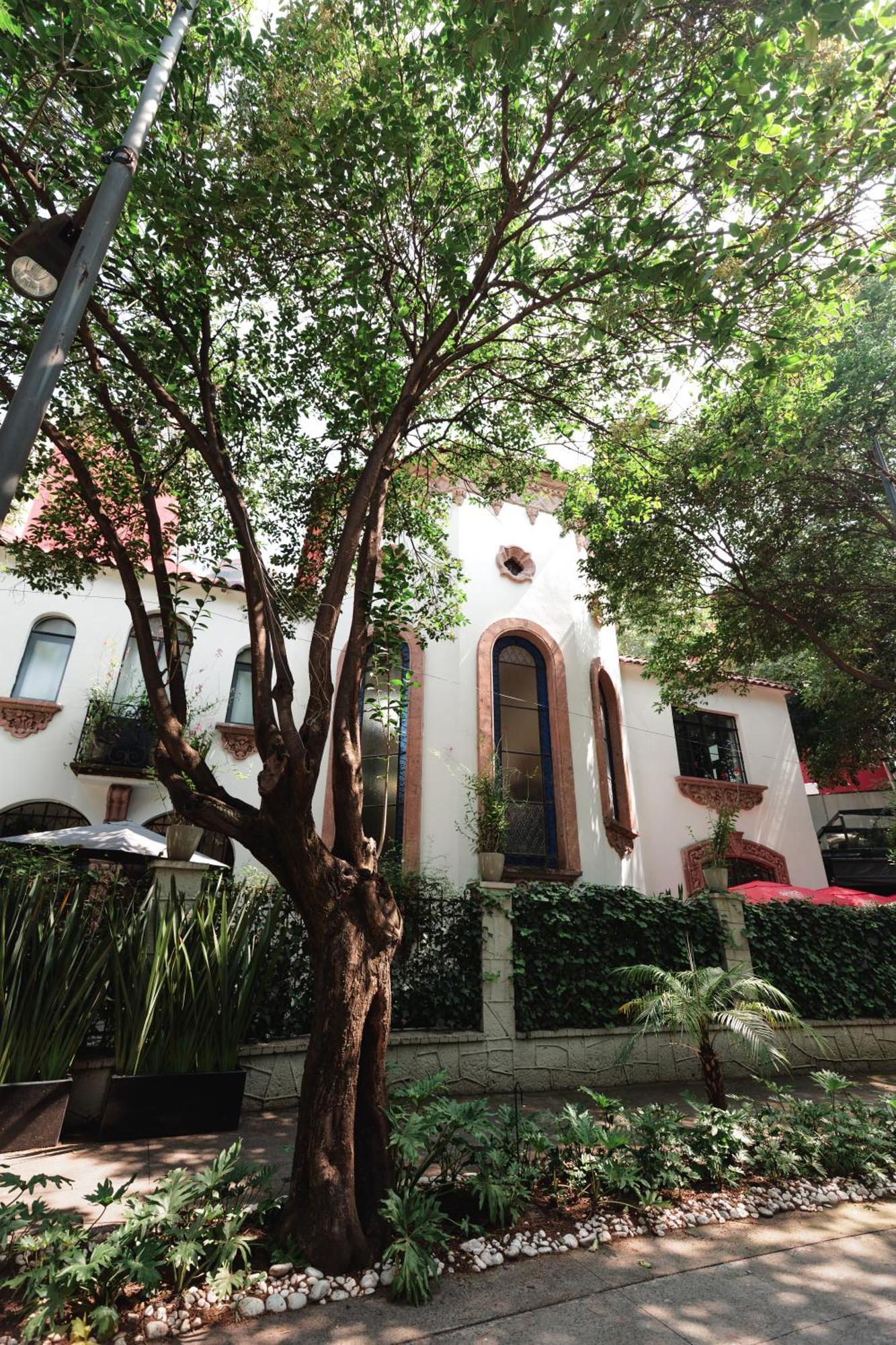 Отель Orchid House Polanco Мехико Экстерьер фото