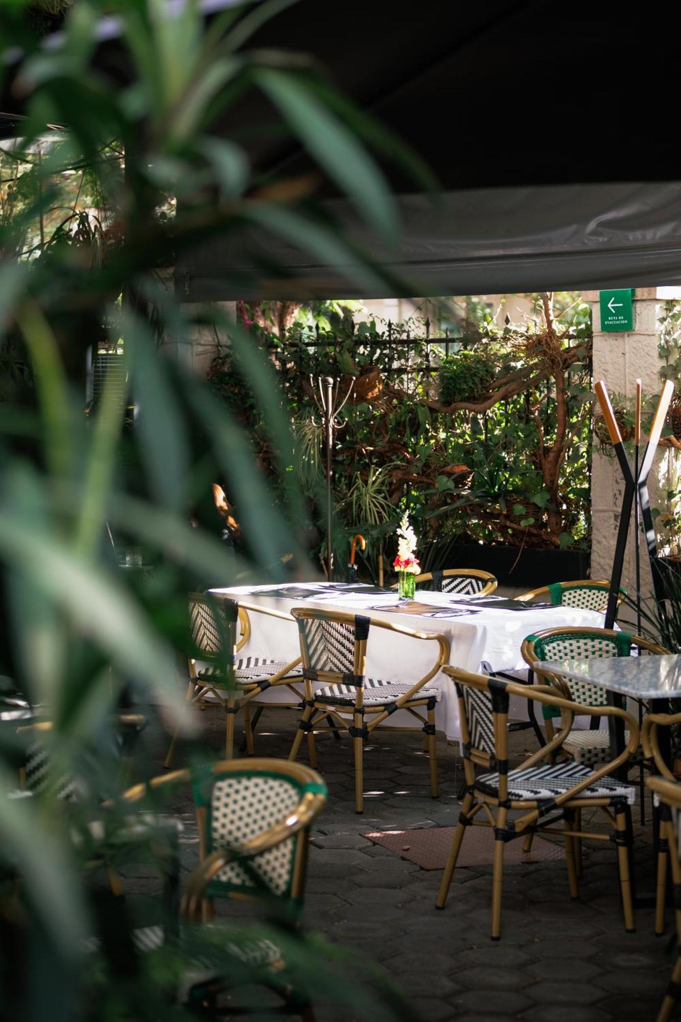 Отель Orchid House Polanco Мехико Экстерьер фото