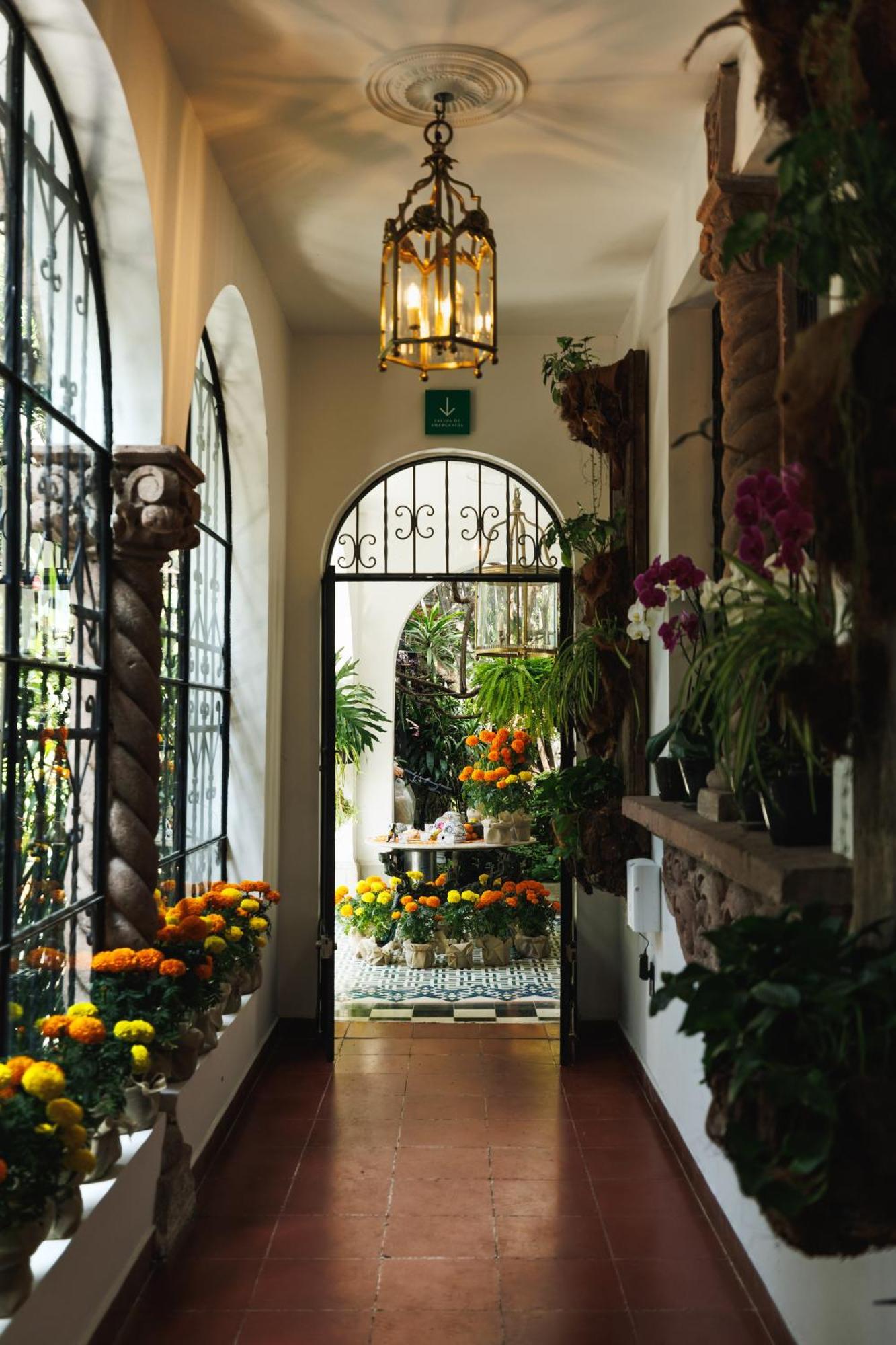 Отель Orchid House Polanco Мехико Экстерьер фото